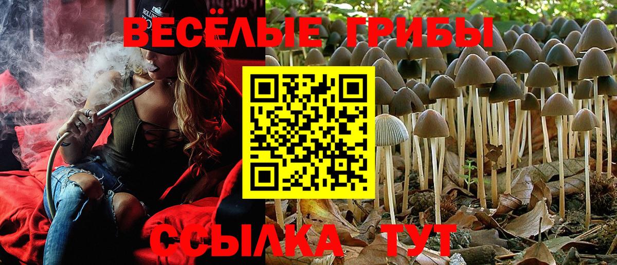 Псилоцибиновые грибы Magic Shrooms Зеленодольск